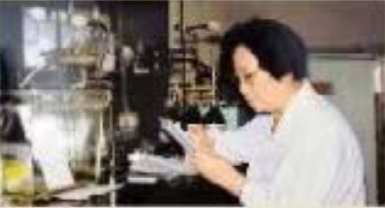 一株小草改變世界